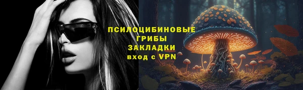 хмурый Куйбышев