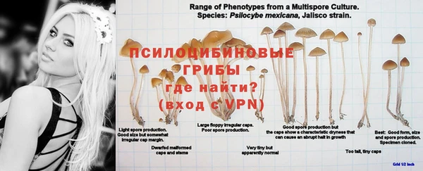 хмурый Куйбышев
